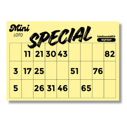 Mini Spécial | 504 feuilles de loto à tamponner