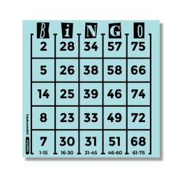 Grille individuelle de Bingo américain 5 × 5 – vue principale