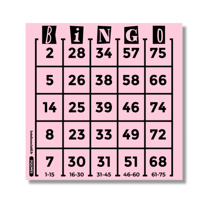 Grille Bingo américain 25 cases – coloris disponible